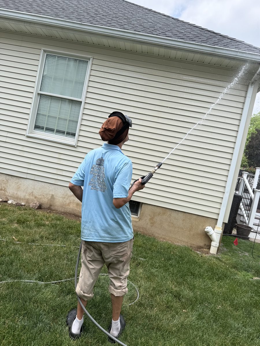 Soft Washing service photo