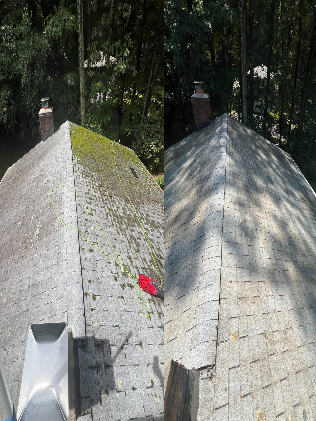 Roof Cleaning service photo